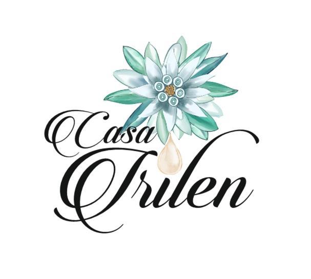 Hotel Casa Irilen Mînăstirea Humorului Exterior foto